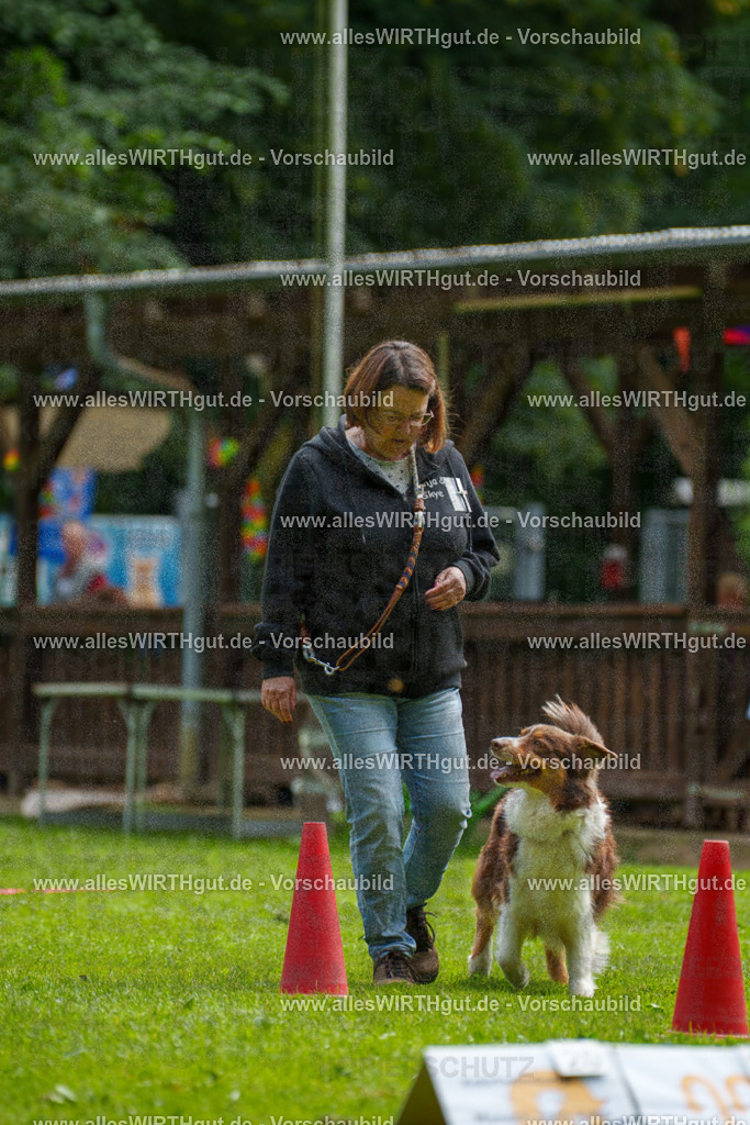 @allesWIRTHgut_Tierfotografie - www.allesWIRTHgut.de - 094620-7R507589 | Professionelle Tierfotografie in Mönchengladbach von Daniel Wirth (allesWIRTHgut). Liebevolle & natürliche Bilder von Hunden & Katzen für unvergessliche Erinnerungen.