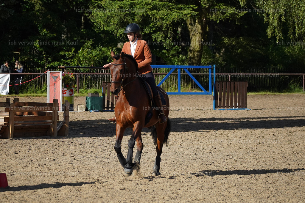 KlasseL_Lucie (3) | working equitationturnier fotograf videograf stoibphotography marixx film working equitation deutschland reitsport turnierfotografie eventfotografie equestrian events