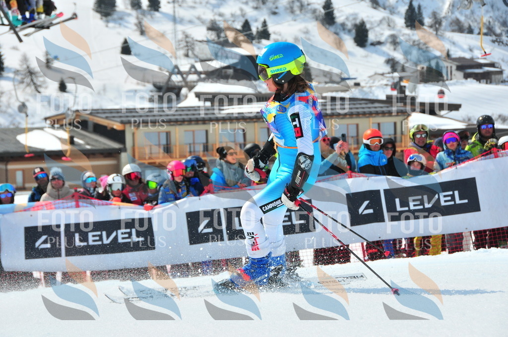 DSC_6040 | holidayphoto