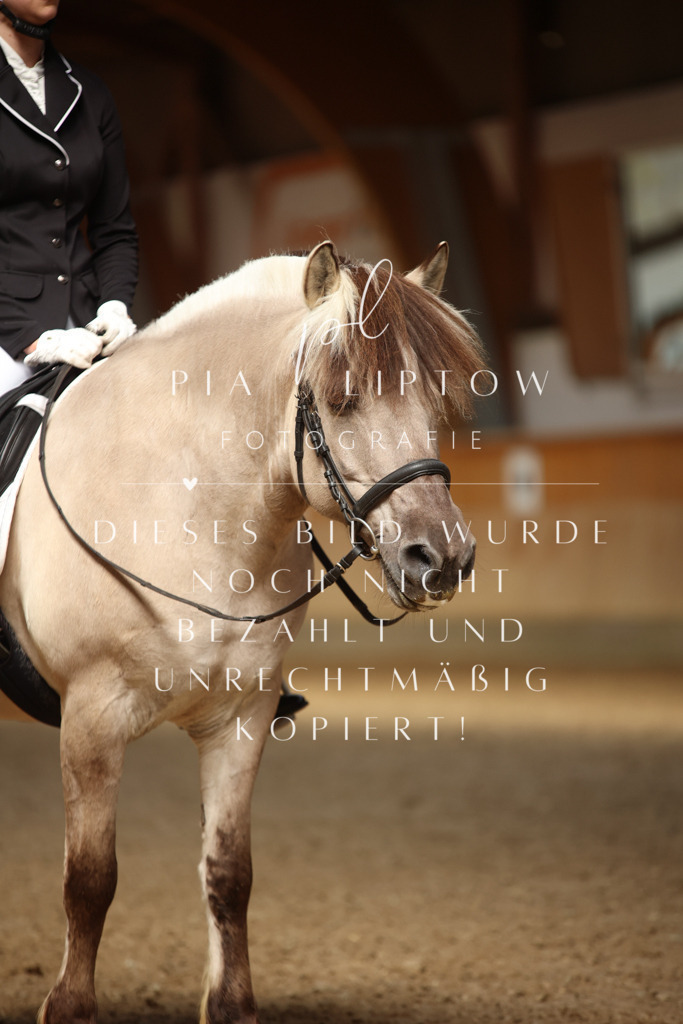 IMGM4847 | pl-fotografie