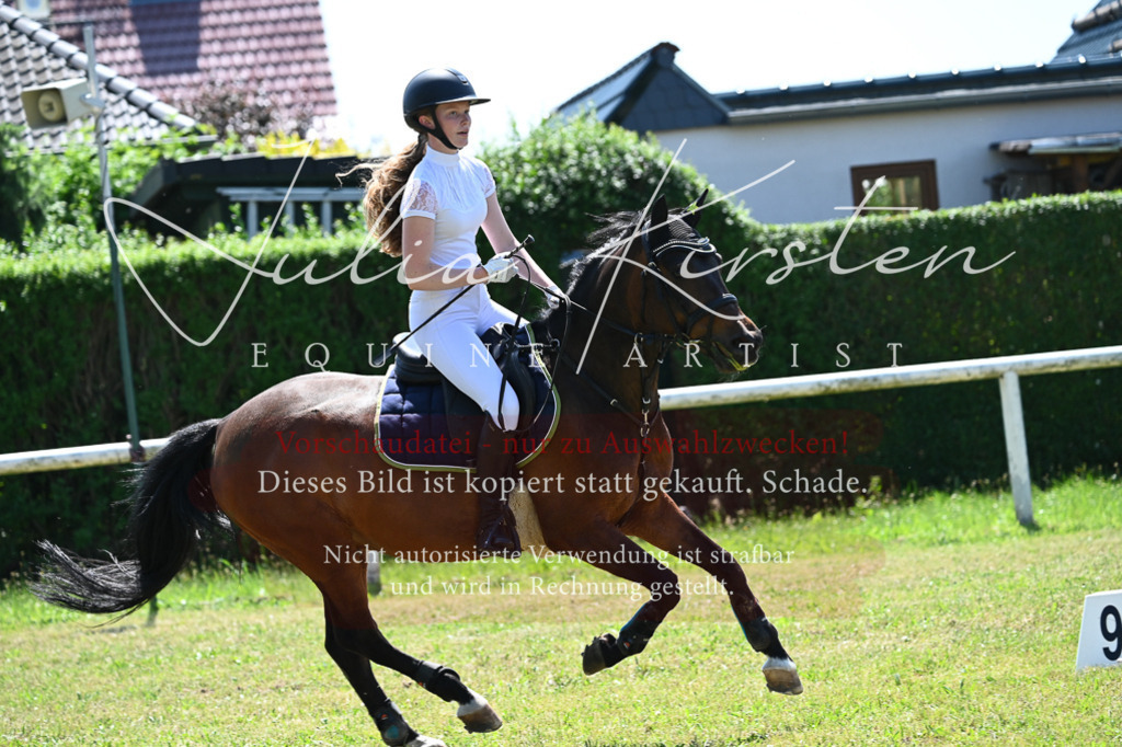DSC_0800 | Pferde- und Turnierfotografie in Westsachsen. Pferdeportraits, Auftragszeichnungen und intuitive Kunst.