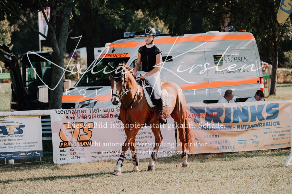 DSC_4637 | Pferde- und Turnierfotografie in Westsachsen. Pferdeportraits, Auftragszeichnungen und intuitive Kunst.