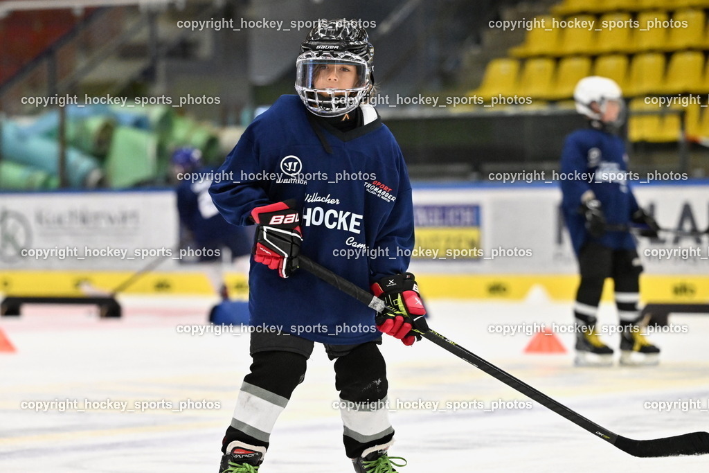 Z9B_1741 | hockey sports photos, Pressefotos, Sportfotos, hockey247, win 2day icehockeyleague, Handball Austria, Floorball Austria, ÖVV, Kärntner Eishockeyverband, KEHV, KFV, Kärntner Fussballverband, Österreichischer Volleyballverband, Alps Hockey League, ÖFB, 