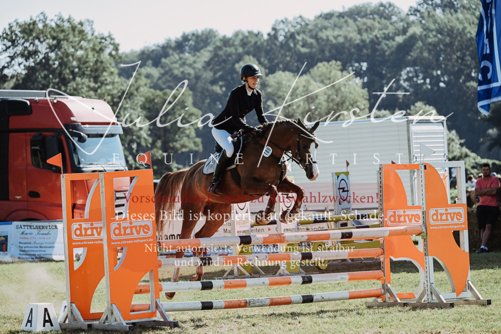 DSC_5409 | Pferde- und Turnierfotografie in Westsachsen. Pferdeportraits, Auftragszeichnungen und intuitive Kunst.