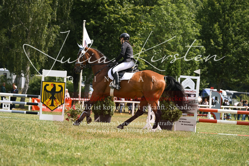DSC_9155 | Pferde- und Turnierfotografie in Westsachsen. Pferdeportraits, Auftragszeichnungen und intuitive Kunst.