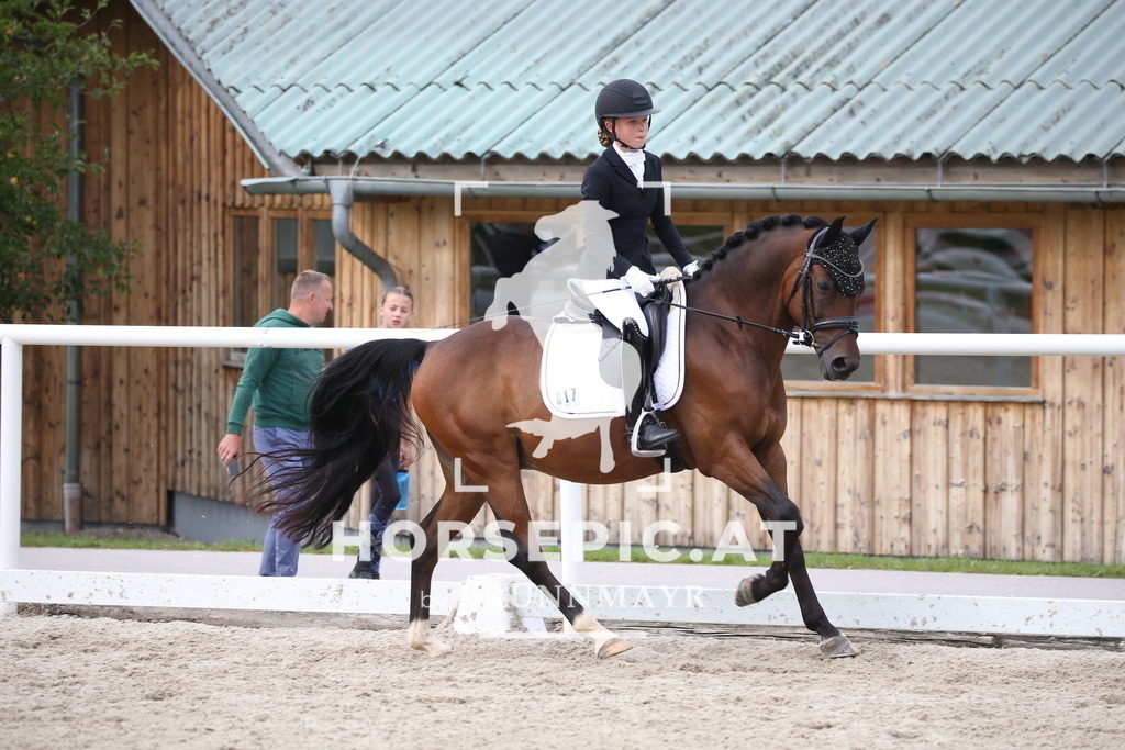 DL2Q4575 | Willkommen bei Brunnmayr - Design & Fotografie – Ihrem Spezialisten für Reitturniere und Pferdeveranstaltungen in Oberösterreich, Salzburg und Bayern! Seit über 17 Jahren sind wir leidenschaftlich dabei.