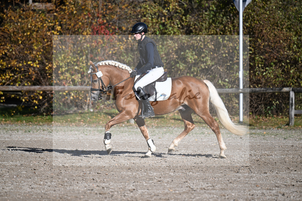 Kat-Nr. 7 Narcotic v. Nakuri_ZG Hackfurt u Weiser_43250734 | hf-fotografie - Realisiert mit Pictrs.com