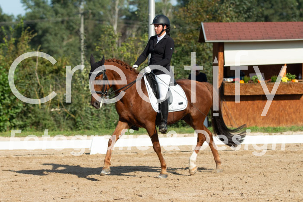 IMG_0724 | Creatify Fotografie