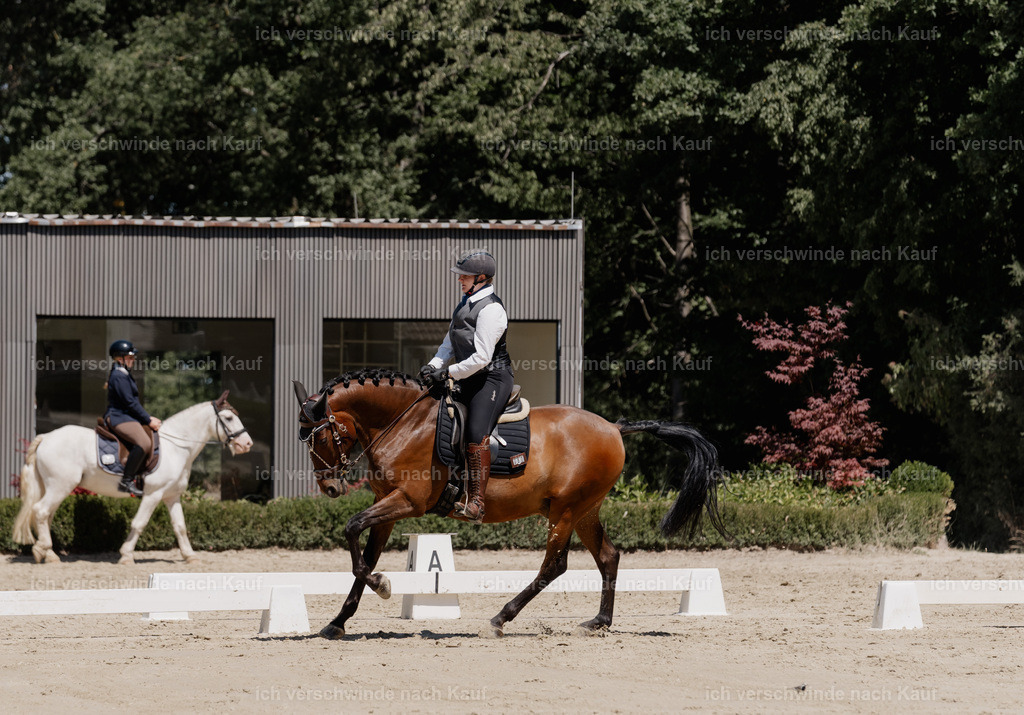 WE_DR_80_SinaFilmArt_IN03410 | working equitationturnier fotograf videograf stoibphotography marixx film working equitation deutschland reitsport turnierfotografie eventfotografie equestrian events