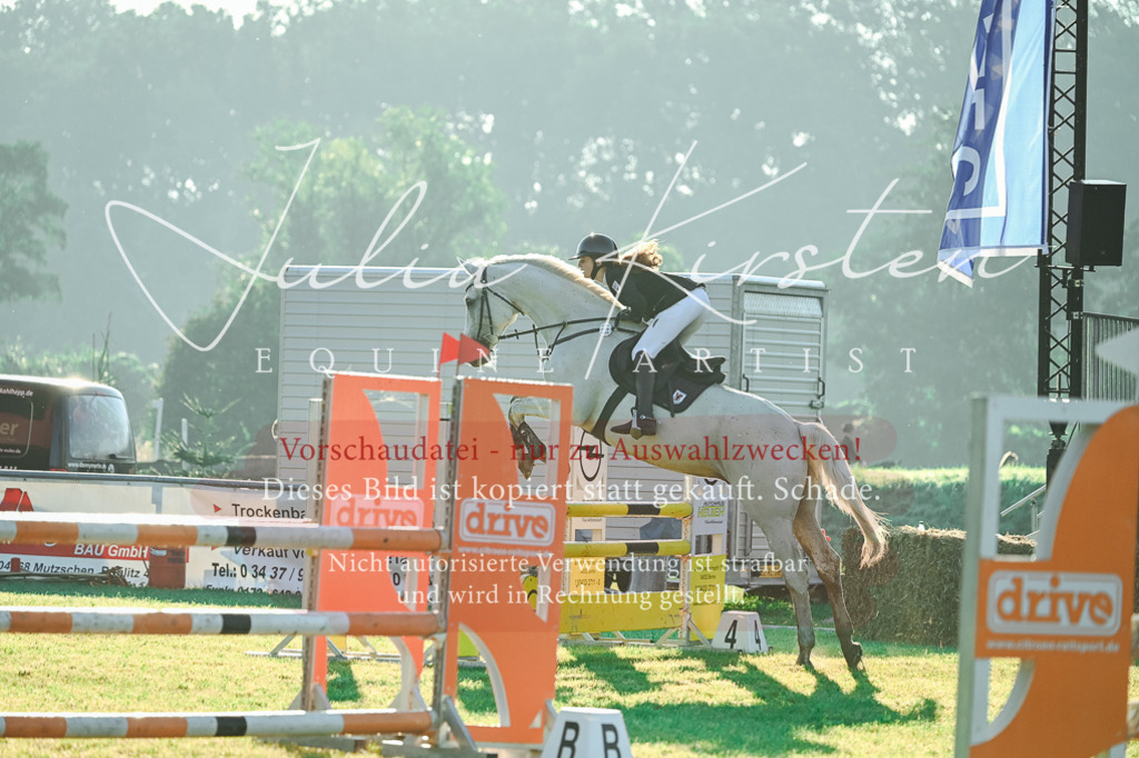 DSC_4041 | Pferde- und Turnierfotografie in Westsachsen. Pferdeportraits, Auftragszeichnungen und intuitive Kunst.