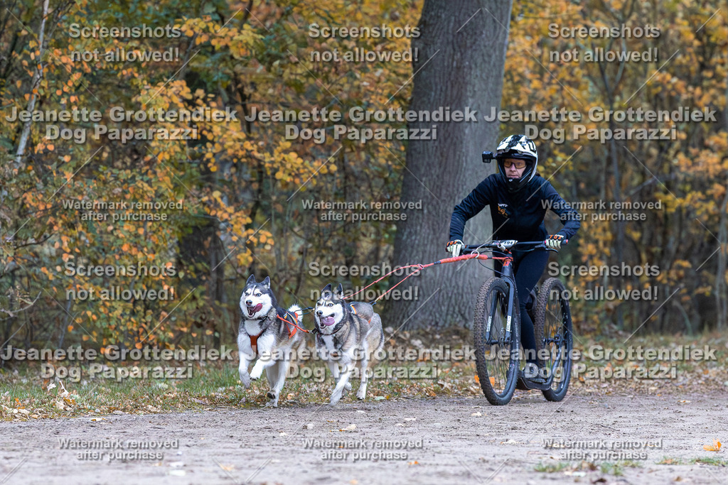 Dog Paparazzi - SD CaniX Championship 2025-162 | Dog Paparazzi Jeanette Grottendiek Fotografie & Videografie - Realisiert mit Pictrs.com