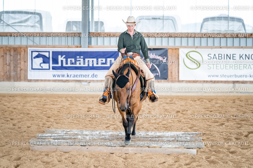 DSC03622 | Pferdegrafie