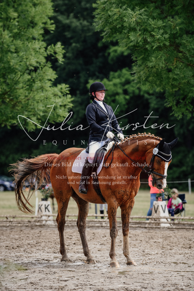 DSC_0723 | Pferde- und Turnierfotografie in Westsachsen. Pferdeportraits, Auftragszeichnungen und intuitive Kunst.