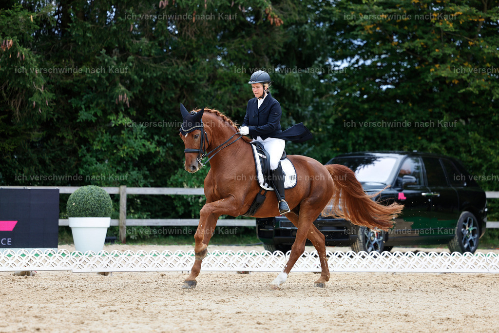 6-090-AMATUER-DRESSUR S_  -StoibPH-3606 | working equitationturnier fotograf videograf stoibphotography marixx film working equitation deutschland reitsport turnierfotografie eventfotografie equestrian events