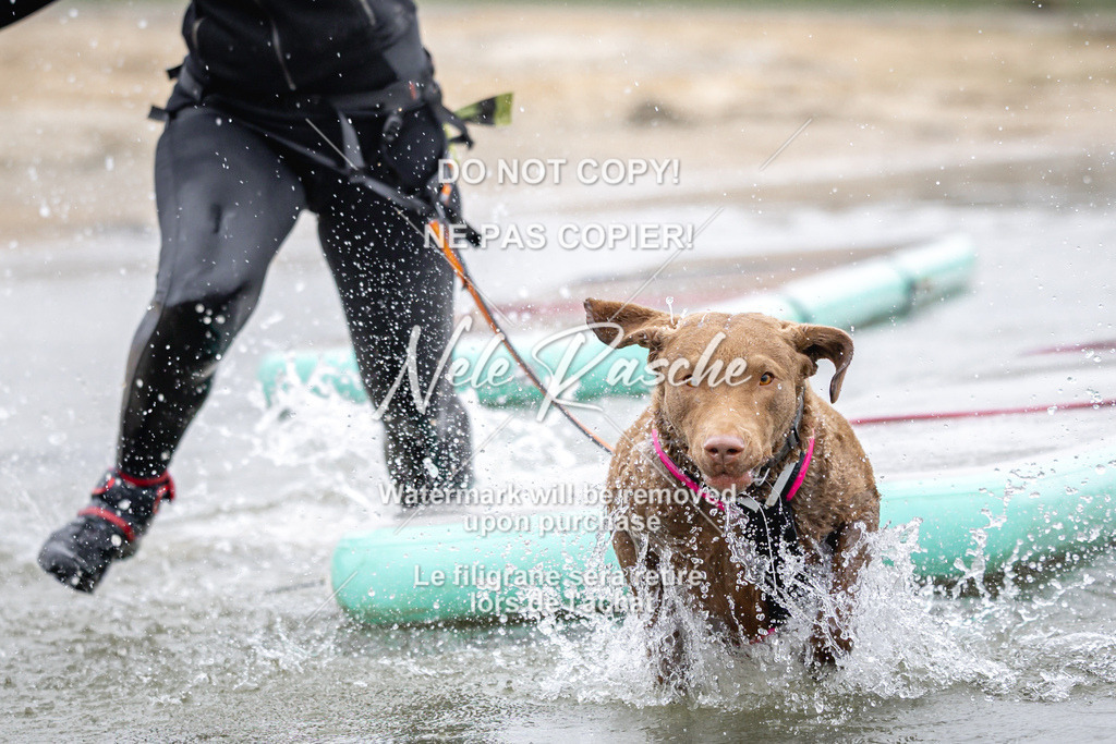 nelerasche_Hulsbeek_Sa1030-1100_760 | nelerasche