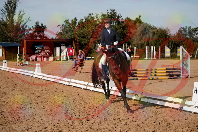 2026_10_03_Siefer-Hof_123050_Z63_51937449 | Professionelle Reitsport-, Turnier- und Eventfotografie von Robert Broda. Galerien mit ausgewählten und bearbeiteten Bildern direkt online ansehen und bestellen.