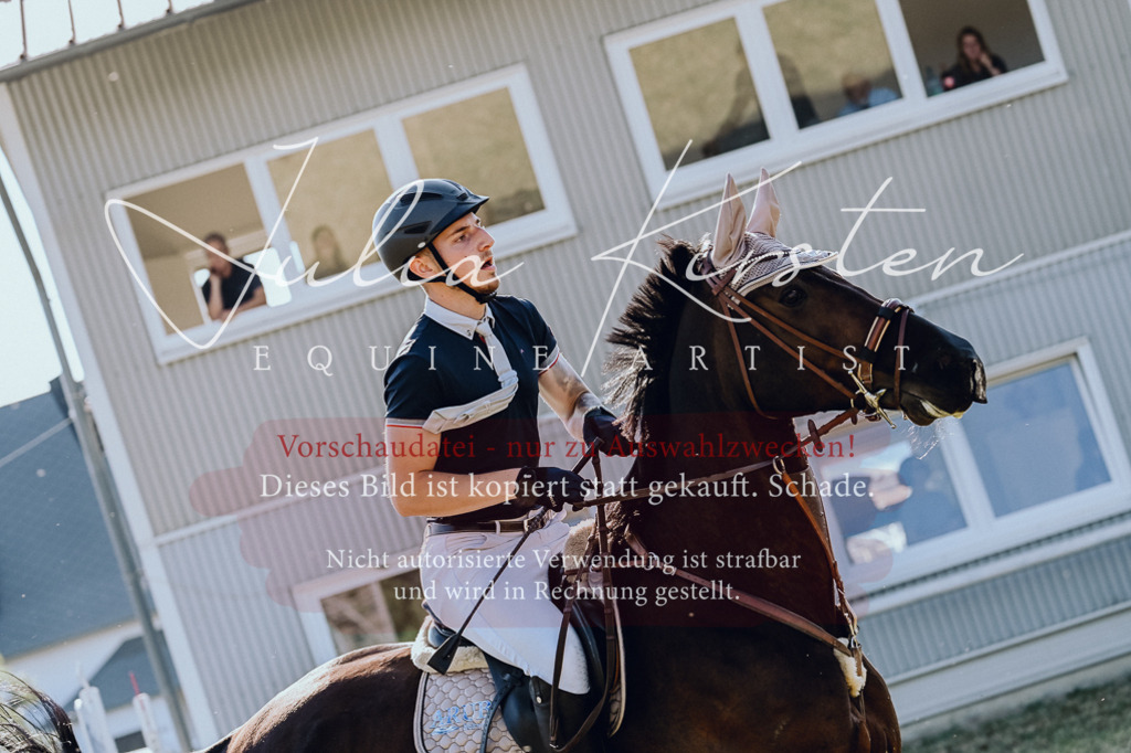 DSC_2951 | Pferde- und Turnierfotografie in Westsachsen. Pferdeportraits, Auftragszeichnungen und intuitive Kunst.