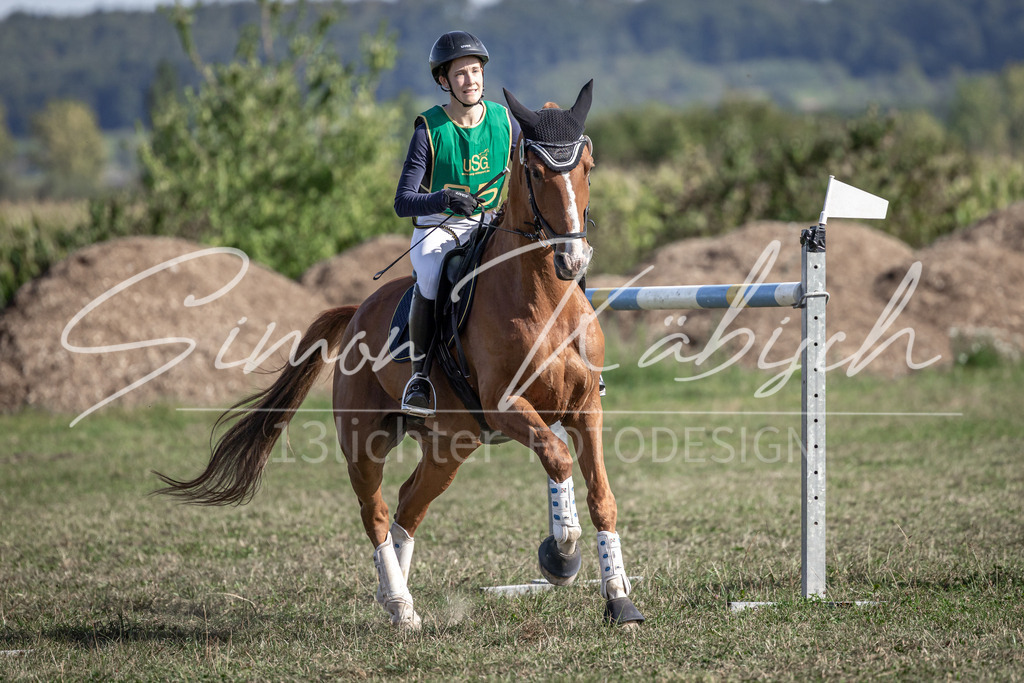 20250907-_3LI3589 | Tierfotografie Pferde, Hunde, Katzen, Haustiere.
Turnierfotografie Reitturniere, Reiten, Springreiten, Dressur in Hanau, dem Main-Kinzig-Kreis und dem Rhein-Main- Gebiet um Frankfurt