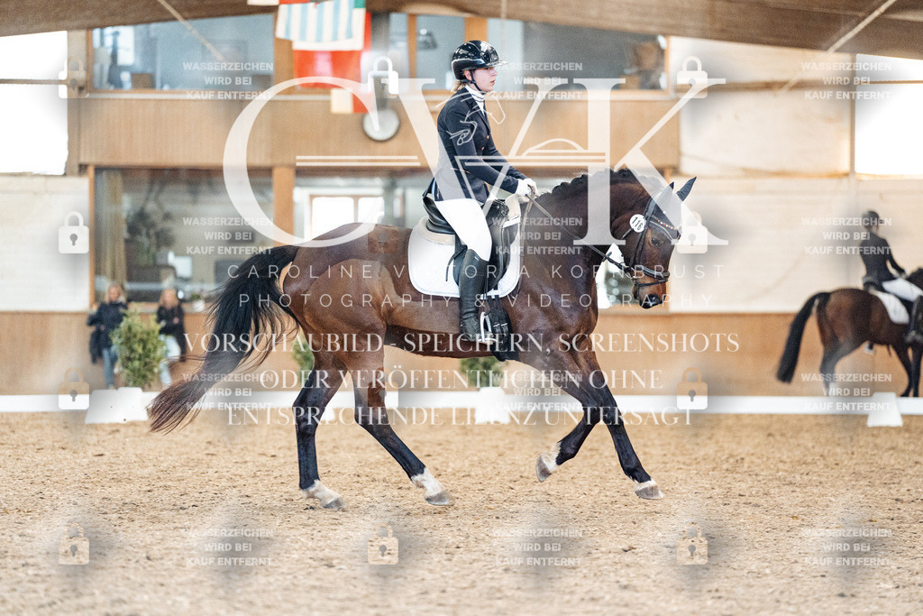 CK908481 | Turnierfotografie Pferdefotografie Trier Rheinland-Pfalz Pferdesport Reitsport Tierfotografie Sportfotografie Pferdevideo Pferdevideografie Equestrianvideography equestrianphotography  - Realisiert mit Pictrs.com