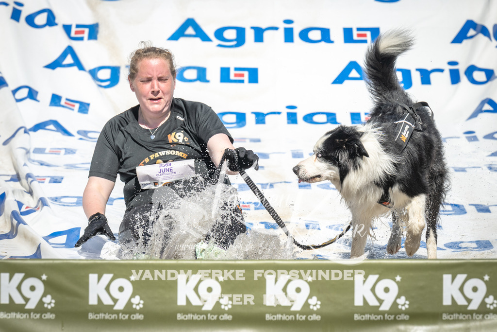 1434_ZZ94975 | kk-dogfotos