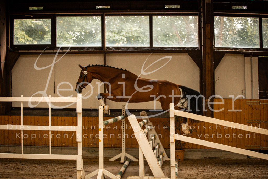 2FS_L00123 | Leoni Ertmer Photography - Realisiert mit Pictrs.com