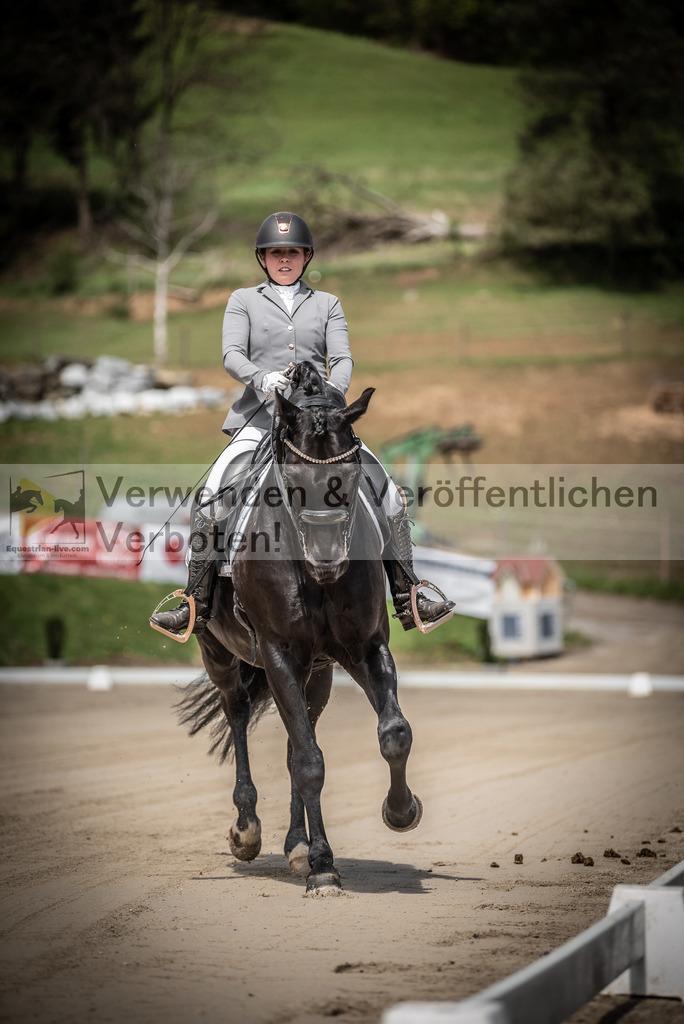 DSC_1321 | equestrian-live-com
