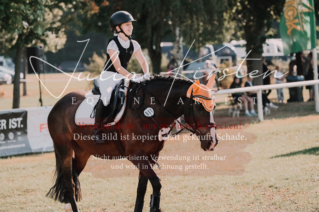 DSC_4479 | Pferde- und Turnierfotografie in Westsachsen. Pferdeportraits, Auftragszeichnungen und intuitive Kunst.