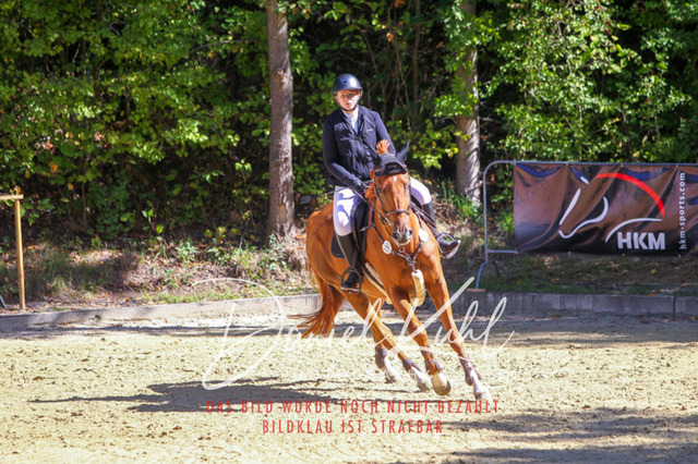 DKP43188 | Deine Turnierfotos vom Reitturnier online kaufen: Dressur, Springen & Siegerehrung. Professionelle Pferdefotografie aus dem Rheinland – als Download & Print.Alternative: Turnierfotograf für den Pferdesport: Finde deine Fotos von Dressur- und Springturnier