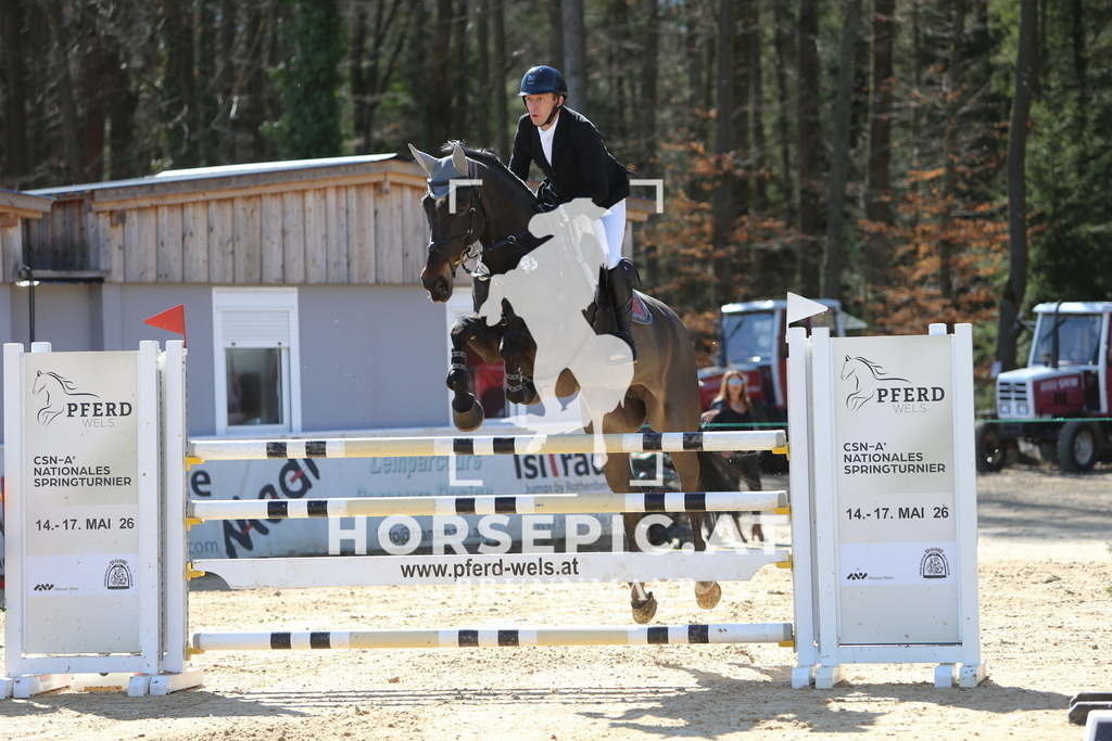 DL2Q4589 | Willkommen bei Brunnmayr - Design & Fotografie – Ihrem Spezialisten für Reitturniere und Pferdeveranstaltungen in Oberösterreich, Salzburg und Bayern! Seit über 17 Jahren sind wir leidenschaftlich dabei.