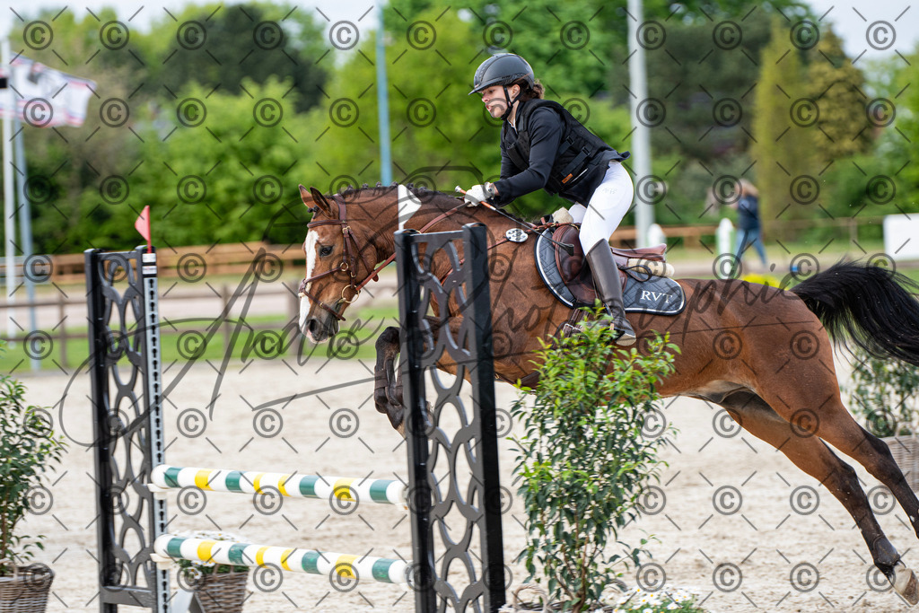 KPT_7163 | andre_photographic