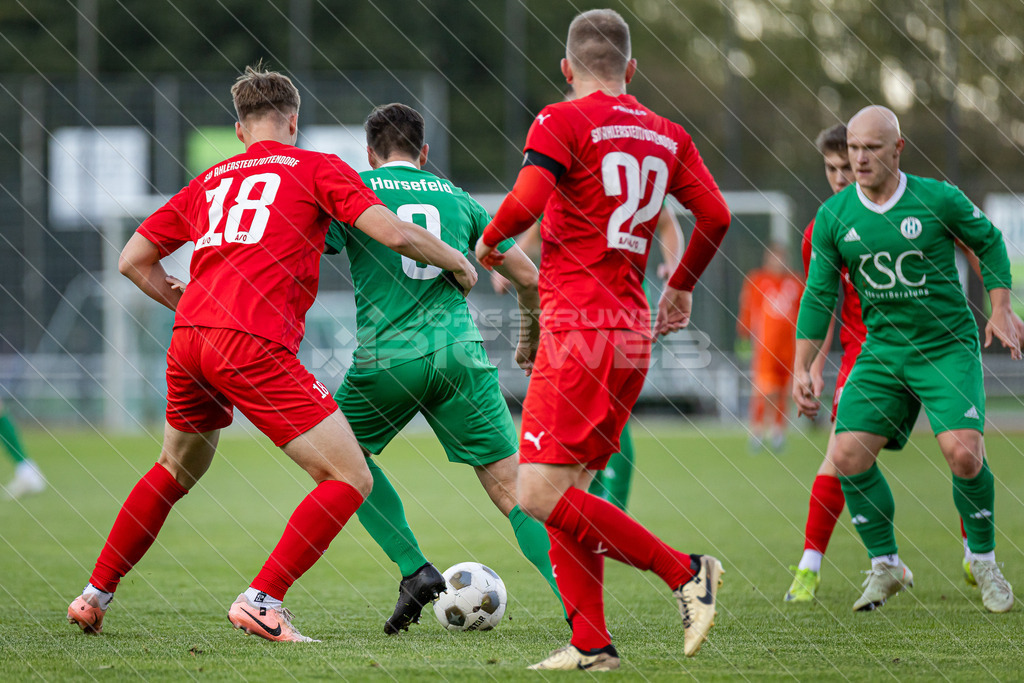 20250913_Picselweb-Fotografie_1R3_0518 | Dein Fotograf aus dem Landkreis Stade für Sport und Events - Realisiert mit Pictrs.com