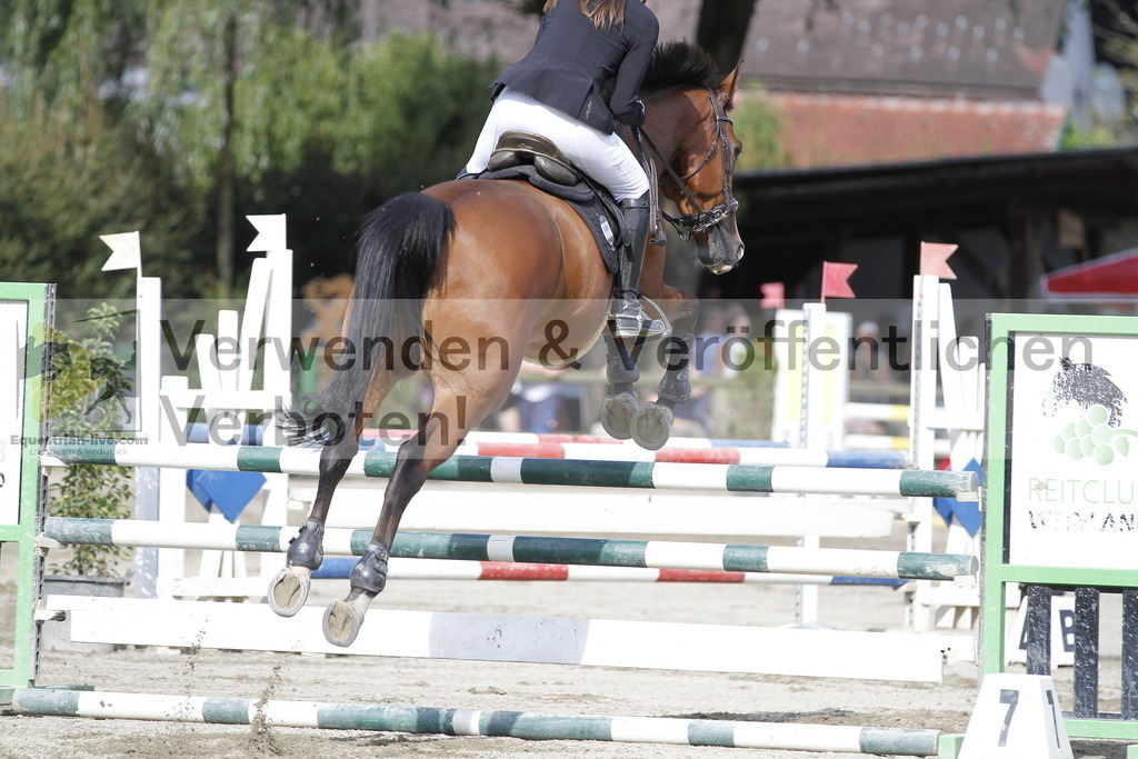 _MG_3634 | equestrian-live-com