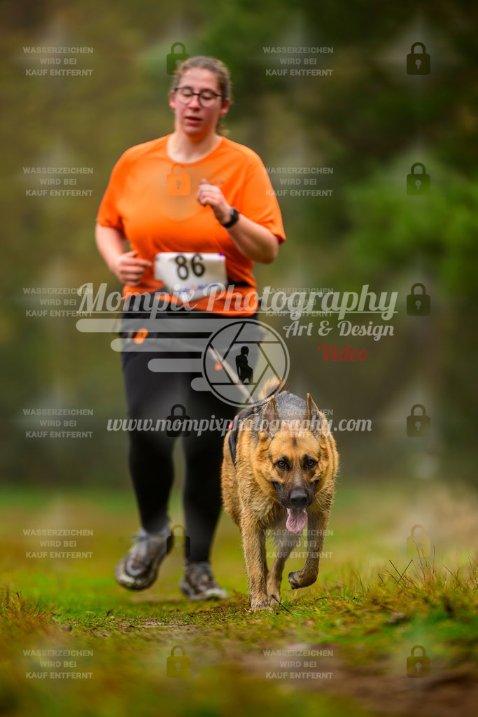 MompixPhotography_Bischwiller2025_Canicross-183 | mompixphotography