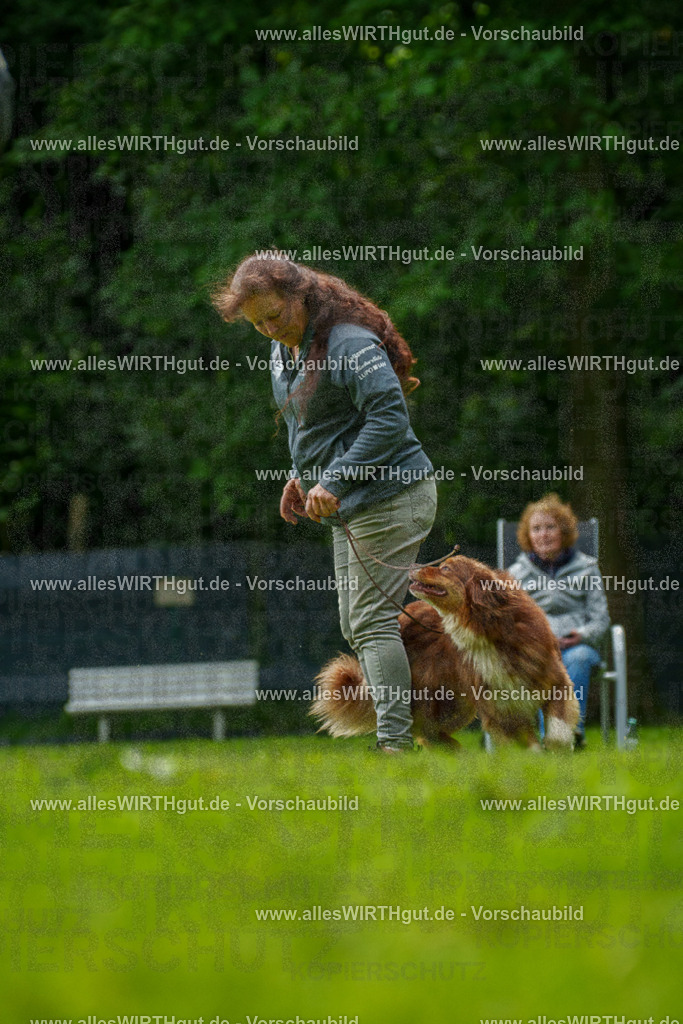 @allesWIRTHgut_Tierfotografie - www.allesWIRTHgut.de - 7R505158 | Professionelle Tierfotografie in Mönchengladbach von Daniel Wirth (allesWIRTHgut). Liebevolle & natürliche Bilder von Hunden & Katzen für unvergessliche Erinnerungen.