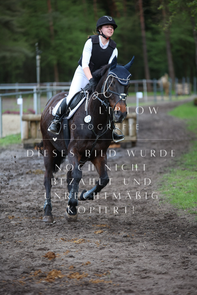 IMGT1967 | pl-fotografie