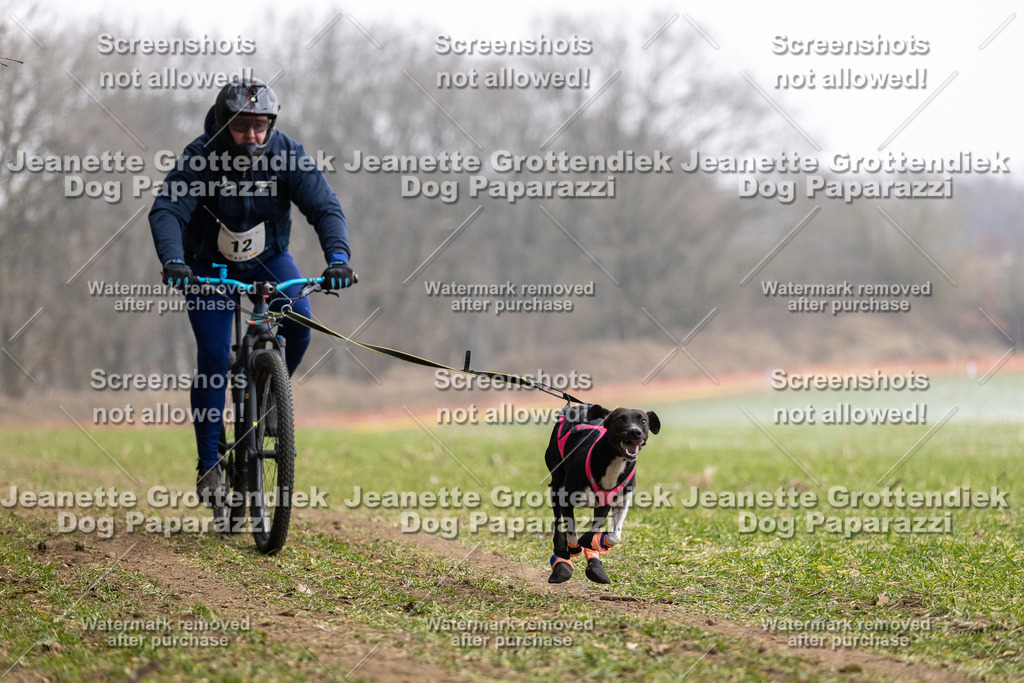 Dog Paparazzi - Plate 2026-20 | Dog Paparazzi Jeanette Grottendiek Fotografie & Videografie - Realisiert mit Pictrs.com