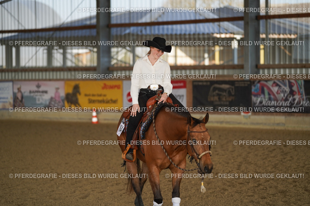 DSC08675 | Pferdegrafie