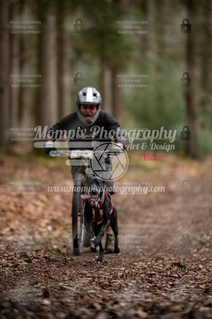 SPA_2023_DIM_Scooter-18 | PayLife