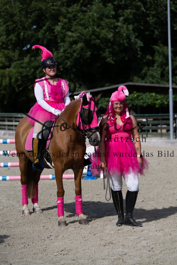 A7V07492 | Pferdefotograf