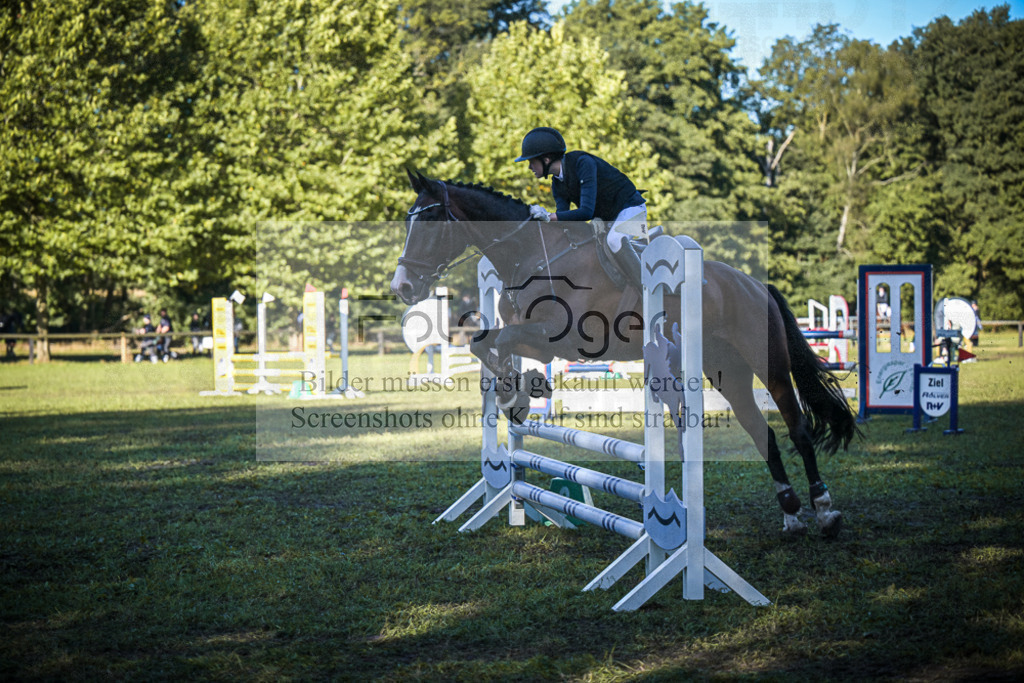 DOS_0421 | Entdecke hochwertige Reitturnierfotos von Foto Oger. Professionell, emotional und authentisch – jetzt Lieblingsmomente im Shop bestellen.Deutschlandweite Turnierfotografie. - Realisiert mit Pictrs.com