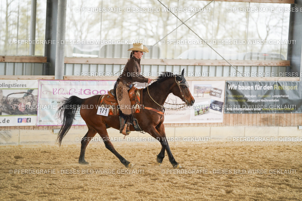 DSC04377 | Pferdegrafie