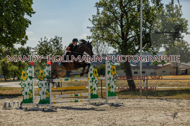 26-7-24 SPF M+-395 | mandyhollmannphotographie