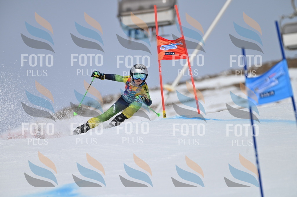 BGV_3757 | holidayphoto