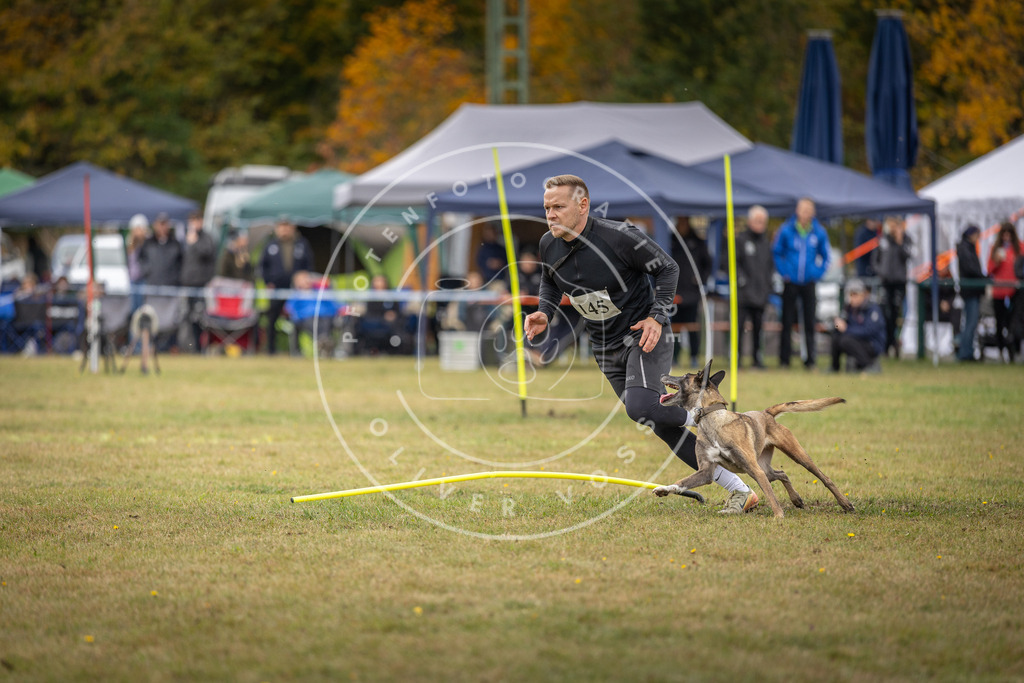 Pfotenfotografie_DV3A8033 | Hundefotografie, Tierfotograf, Pfotenfotografie, Fotoshooting Hund, Hunde Portrait, Hundesport, Hundeportraits, Heideshooting, Hunde, Sportfotograf, Hundefotograf, Turnierhundsport, THS,  - Realisiert mit Pictrs.com
