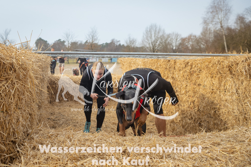 1017_ZZ93527 | kk-dogfotos