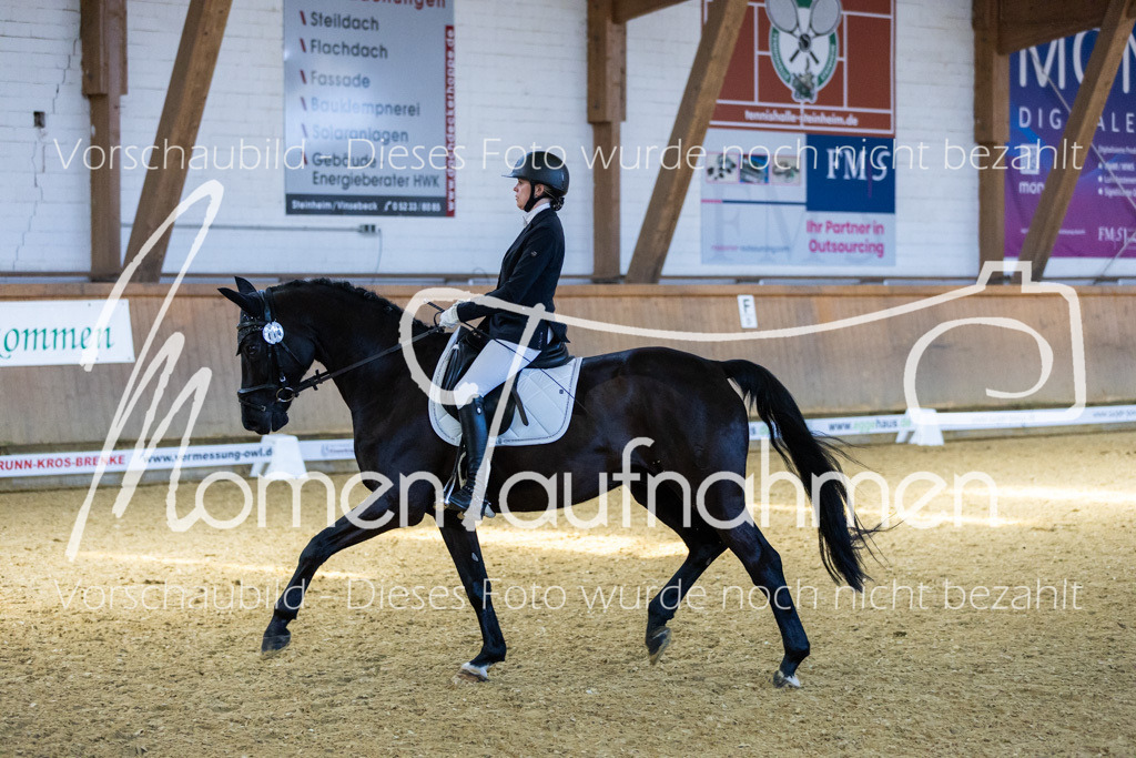 Sth-LPO25-DrR-L-247 | MomenTaufnahmen Pferdesportfotos