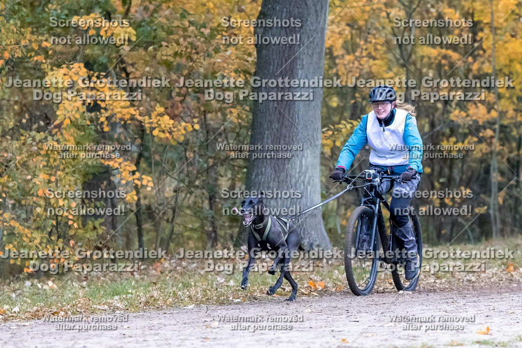 Dog Paparazzi - SD CaniX Championship 2025-283 | Dog Paparazzi Jeanette Grottendiek Fotografie & Videografie - Realisiert mit Pictrs.com