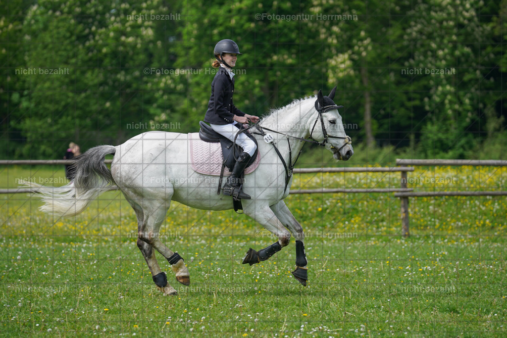 20240509-FAH02720 | Turnierbilder der Turnierfotografen Bayern, Pferdesport Fotografie, Reitsportbilder, Turnier Landberg am Lech, Turnierbilder bayern, Fotoagentur Herrmann