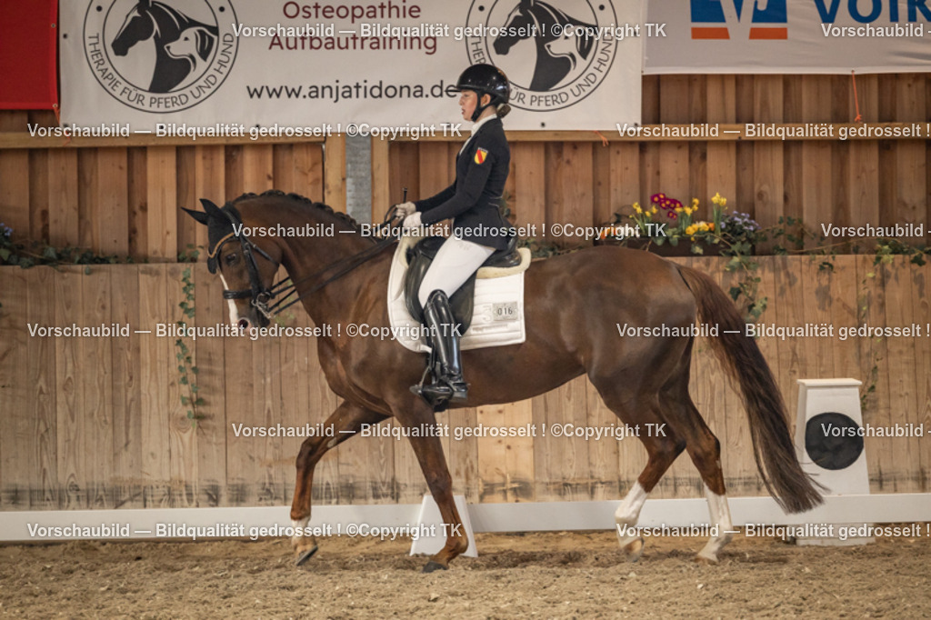 _D5A9468 | Emotionale Pferde- & People-Fotografie rund um Heidelberg, Leimen & Umgebung. Natürliche Fotos von Pferd, Mensch & Familie. Jetzt Termin sichern!