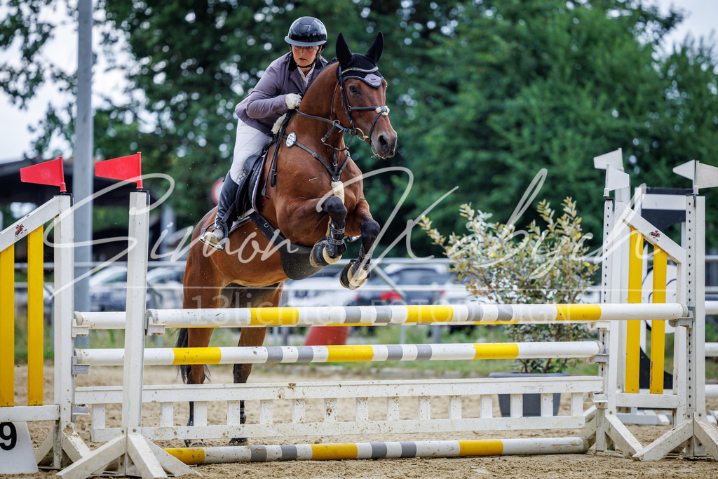 20260705-_3LI5108 | Tierfotografie Pferde, Hunde, Katzen, Haustiere.
Turnierfotografie Reitturniere, Reiten, Springreiten, Dressur in Hanau, dem Main-Kinzig-Kreis und dem Rhein-Main- Gebiet um Frankfurt